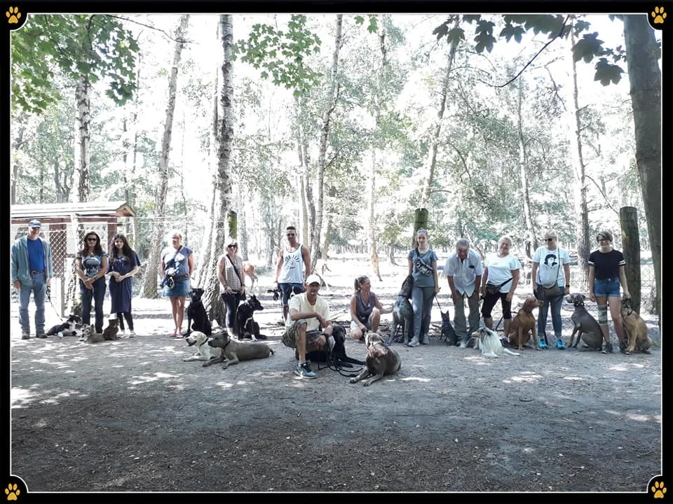 JoBaDog_Alltagstraining_29_Juni_2019_Berlin_1.jpg