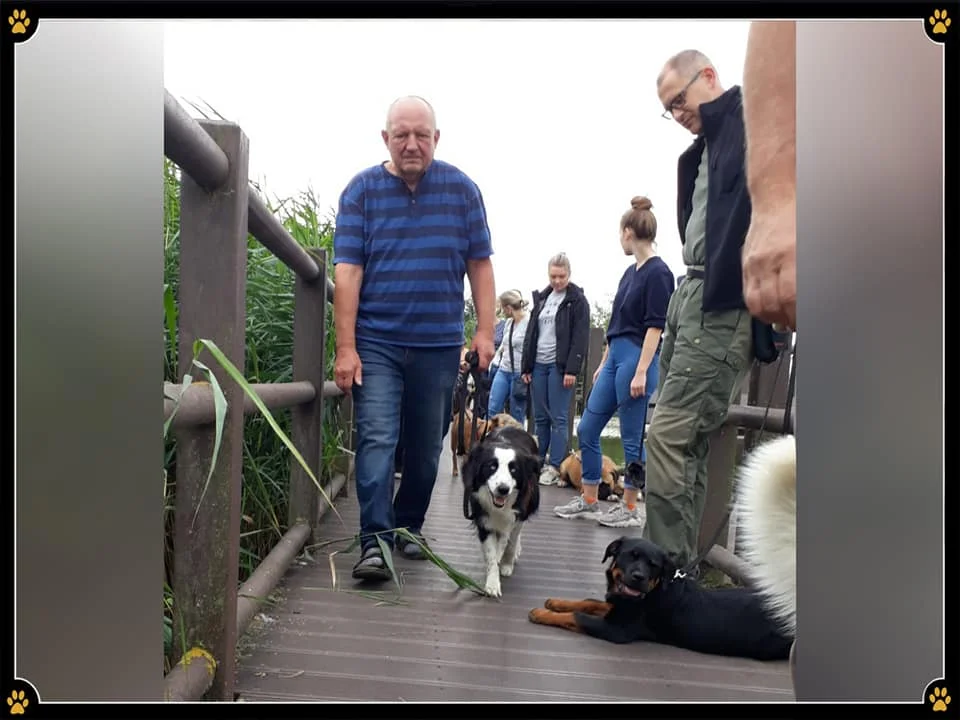 JoBaDog_Alltagstraining_6_Juli_2019_Vehlefanz_4.jpg