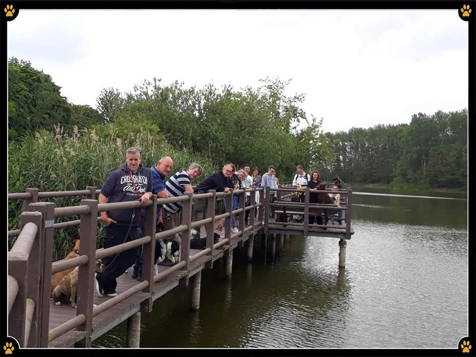 JoBaDog_Alltagstraining_6_Juli_2019_Vehlefanz_6.jpg