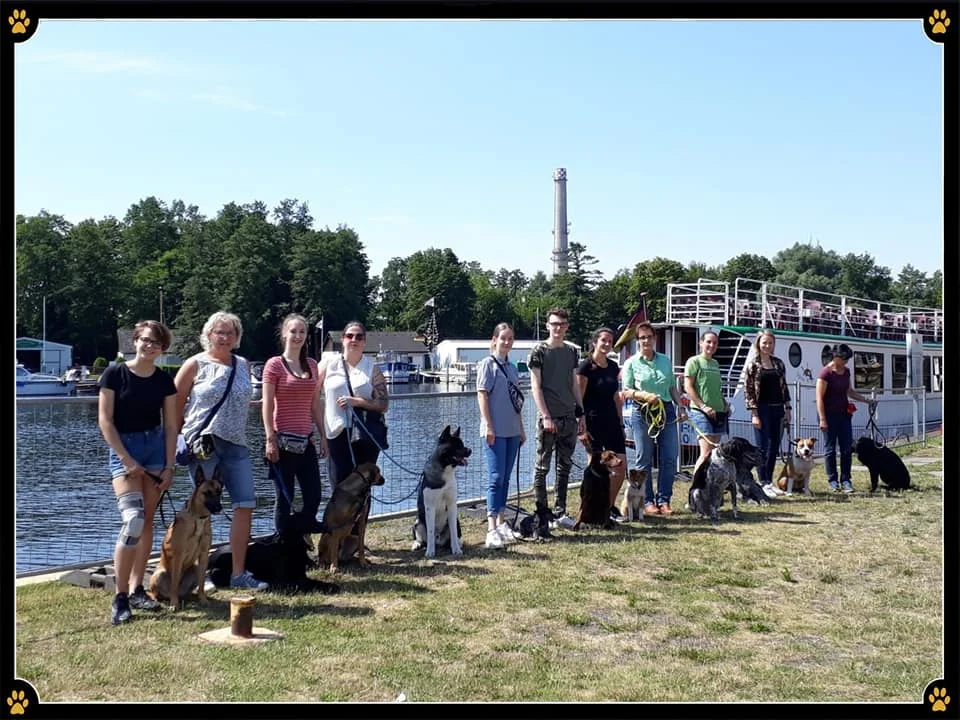 JoBaDog_Alltagstraining_13_Juli_2019_Hennigsdorf_1.jpg