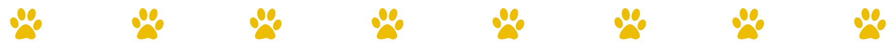 JoBaDog Icon_Pfotengrenze.png