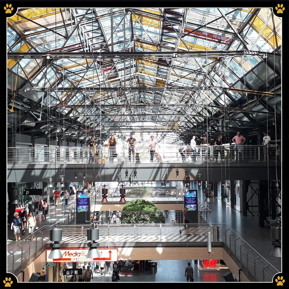 JoBaDog_Alltagstraining_3_August_2019_Berlin_1.jpg