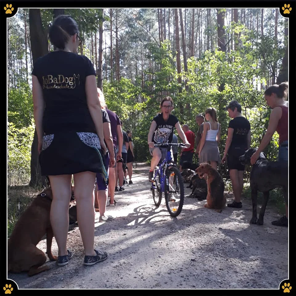 JoBaDog_Gruppentraining_14_August_2019_1.jpg