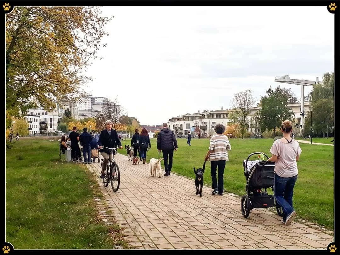 JoBaDog_Alltagstraining_13_Oktober_2019_Berlin_Tegel_4.jpg
