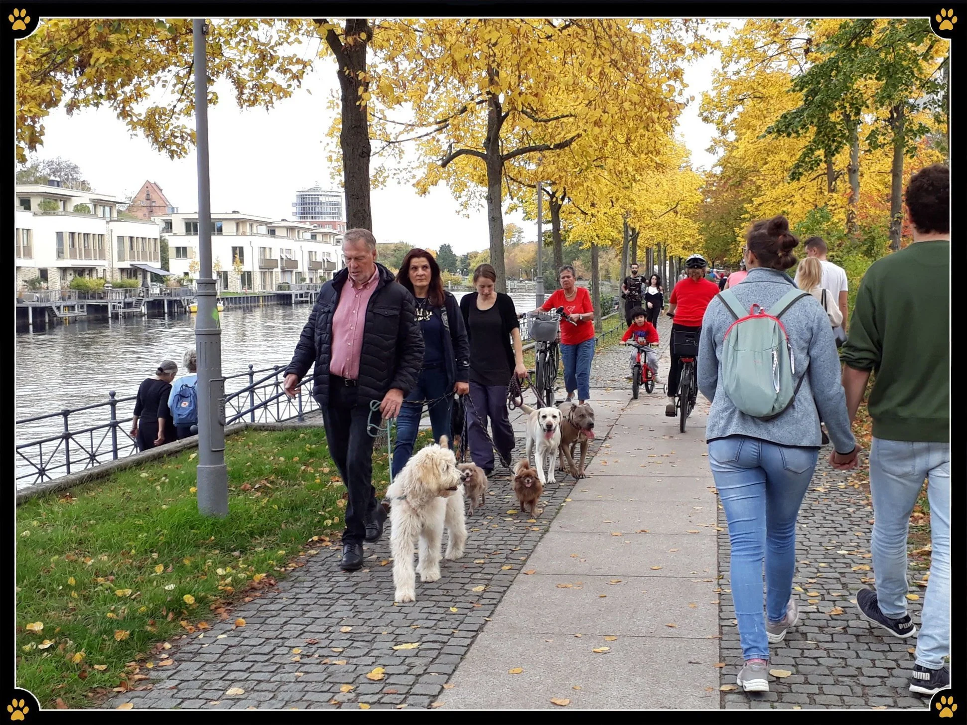 JoBaDog_Alltagstraining_13_Oktober_2019_Berlin_Tegel_5.jpg