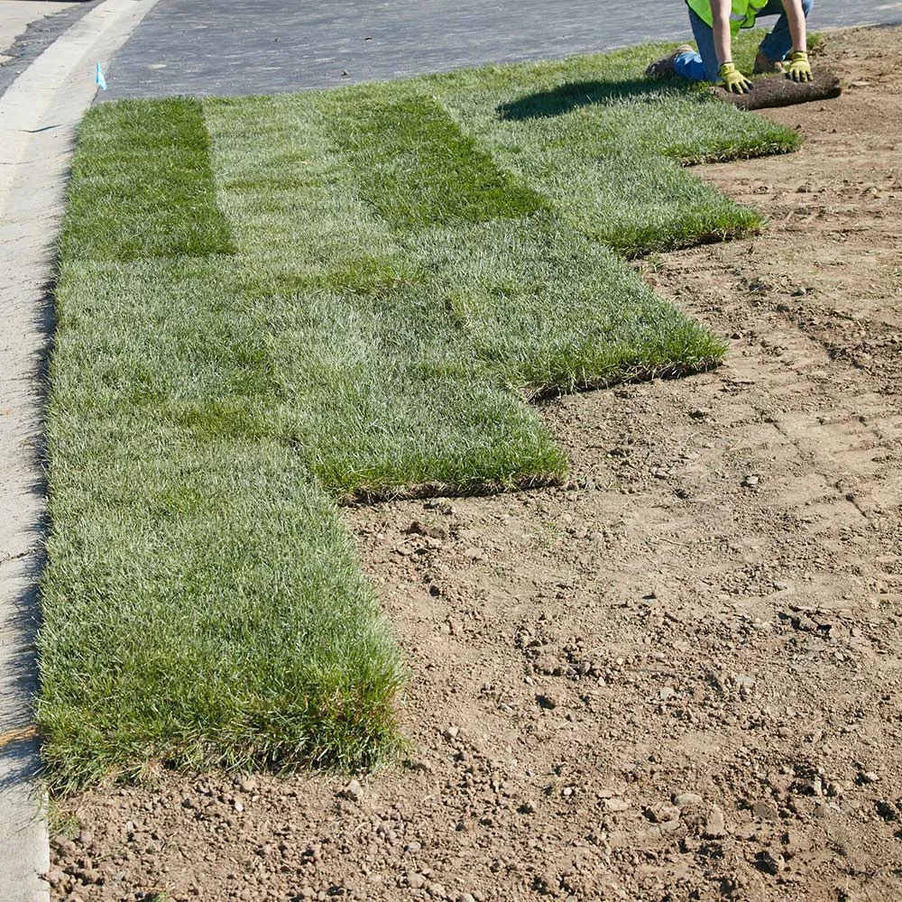 Landscaper