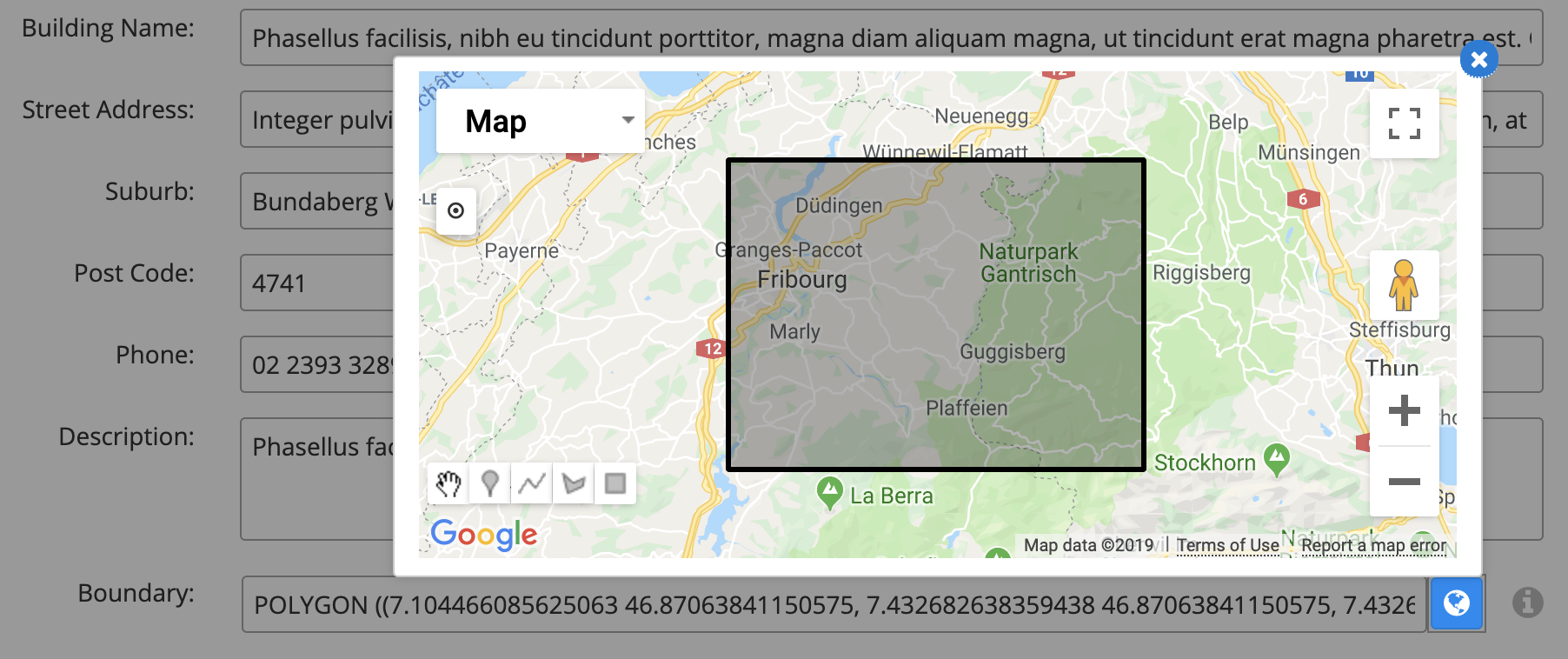 Google map in Skyve default interface