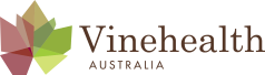 logo_vinehealth.png