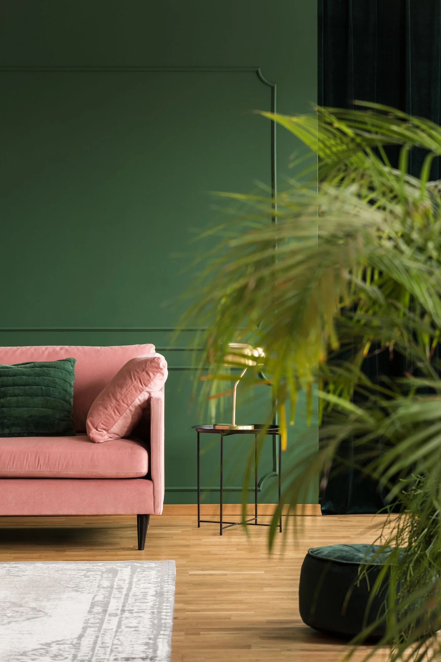 Marcia Barrington Psychotherapy in Highgate