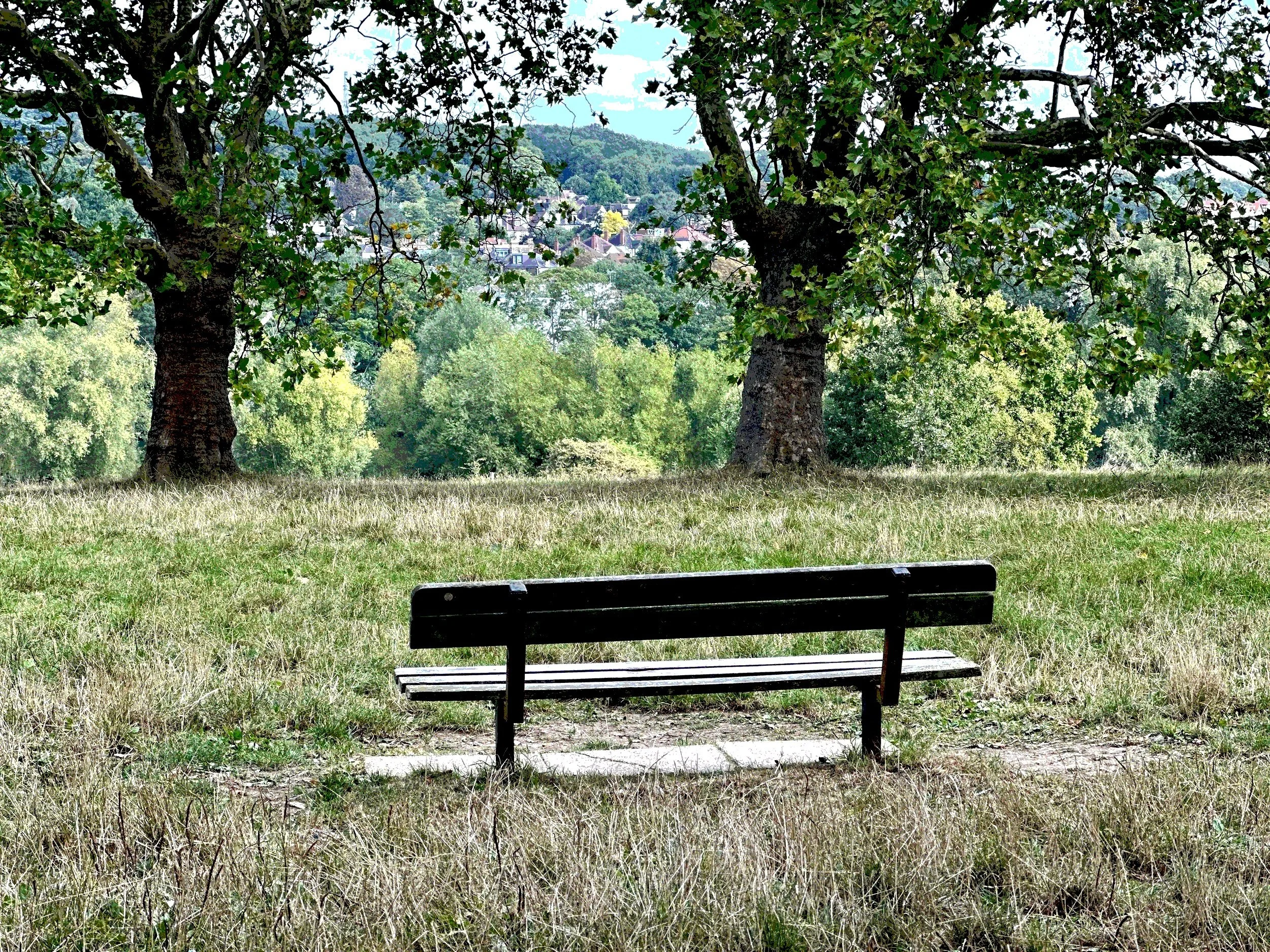 What Grief Doesn't Look Like
