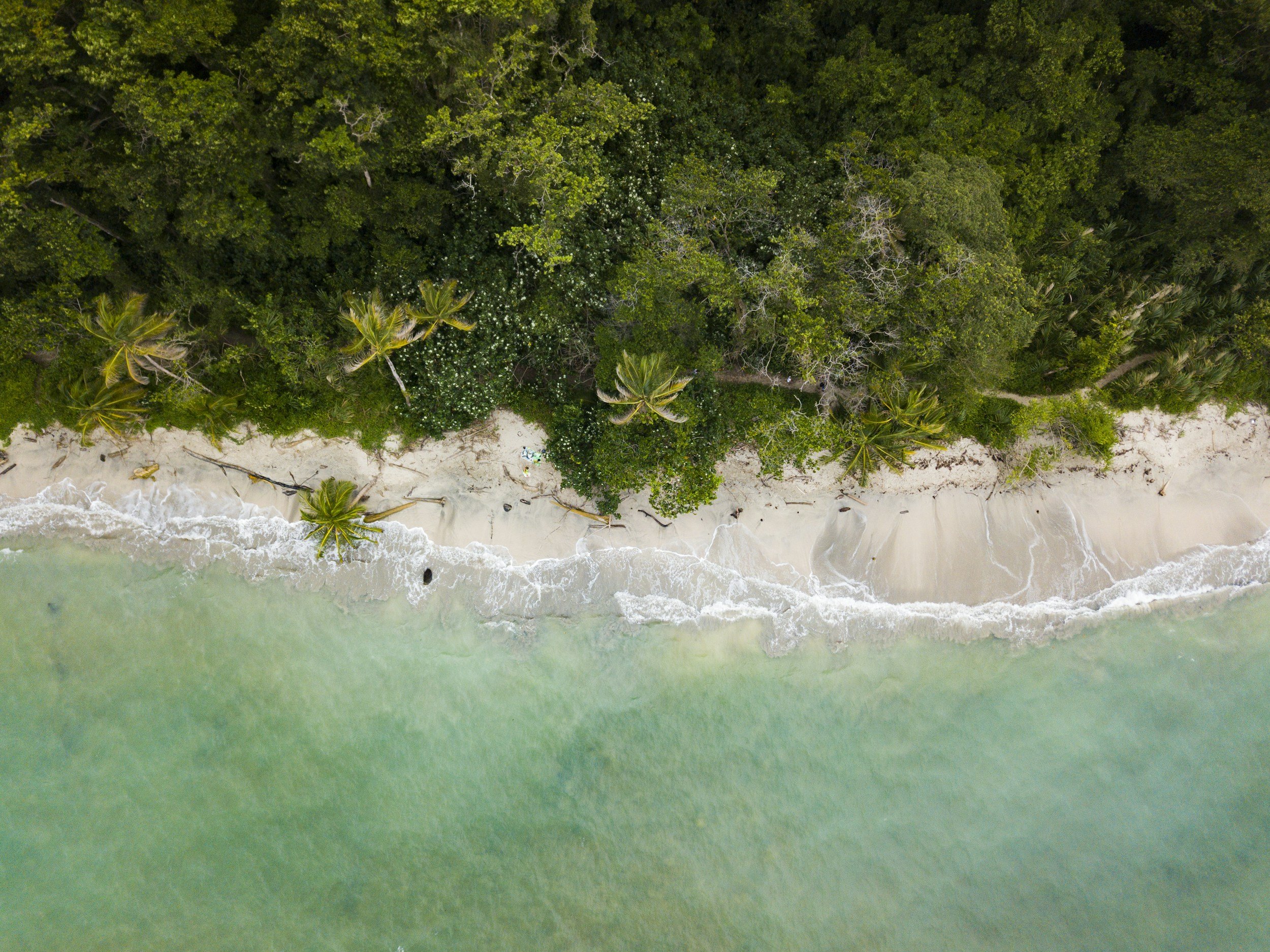 unsplash-image-tCSWxjURbng.jpg