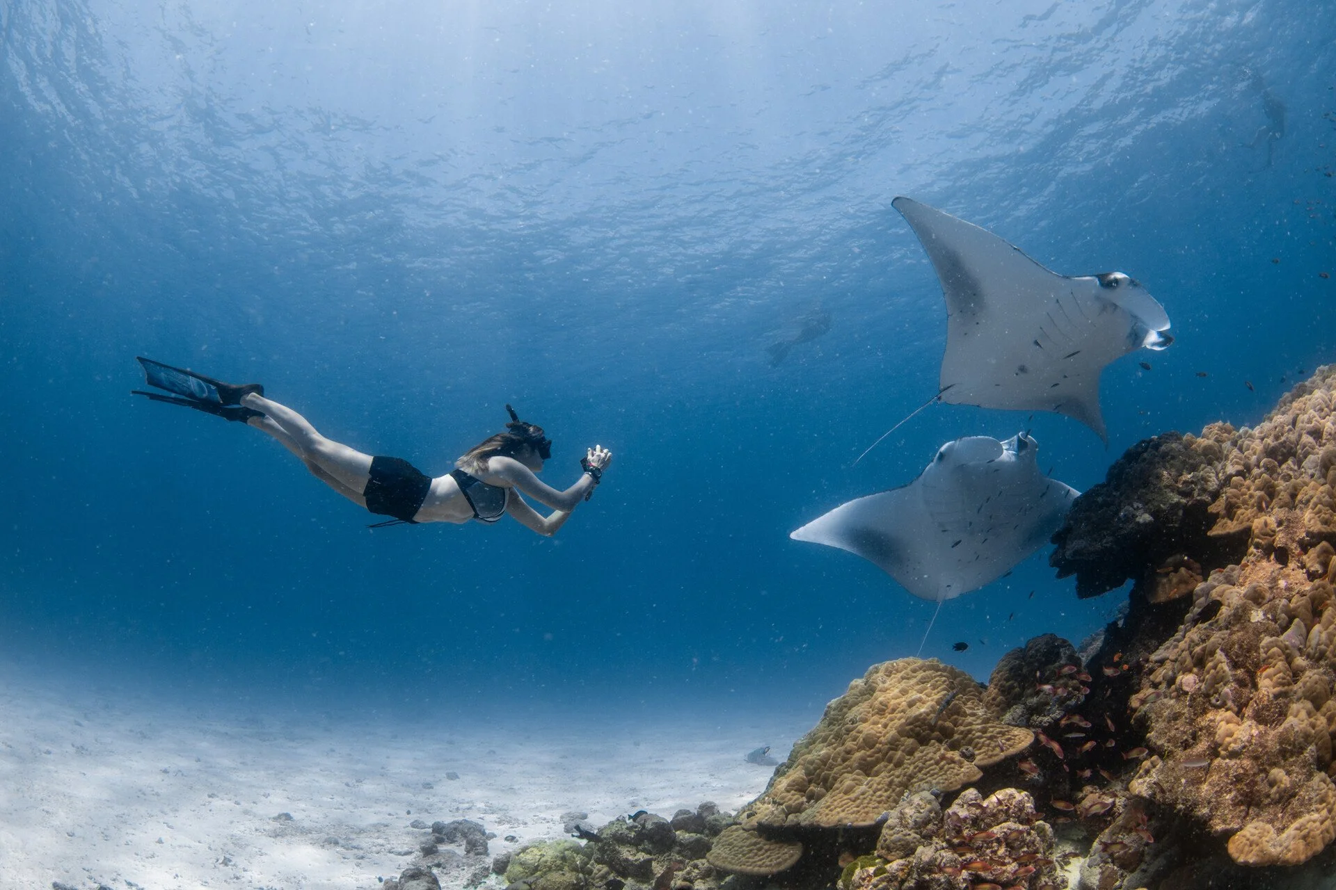 A person swimming underwater near a coral reef with two stingrays.