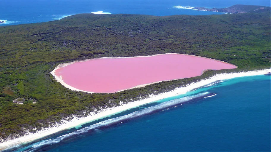The surreal Lake Hillier, on Middle Island