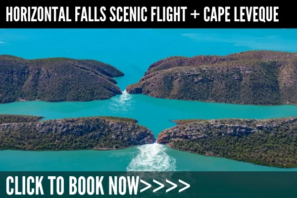 HZWF + Cape Leveque.jpg
