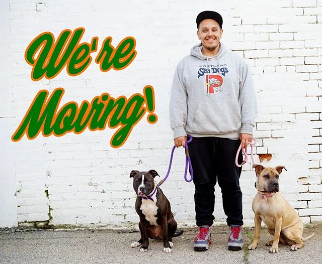 Hey guys! We have some big news for all of you!  After spending the last year growing the business in New York City, we have decided to move to a location that will allow us much more freedom and space to train dogs.  We are busy packing and prepping