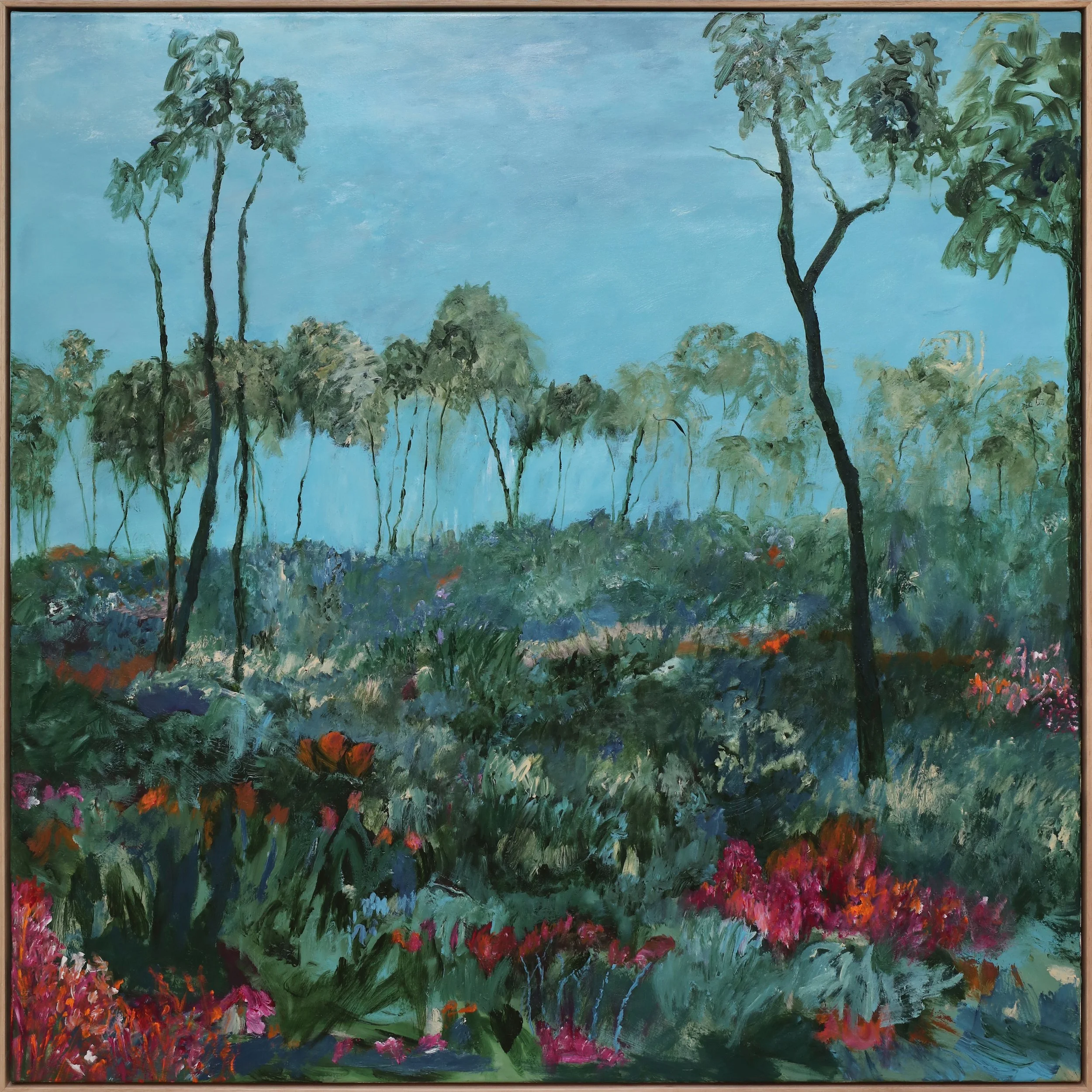 BUSH WILDFLOWERS