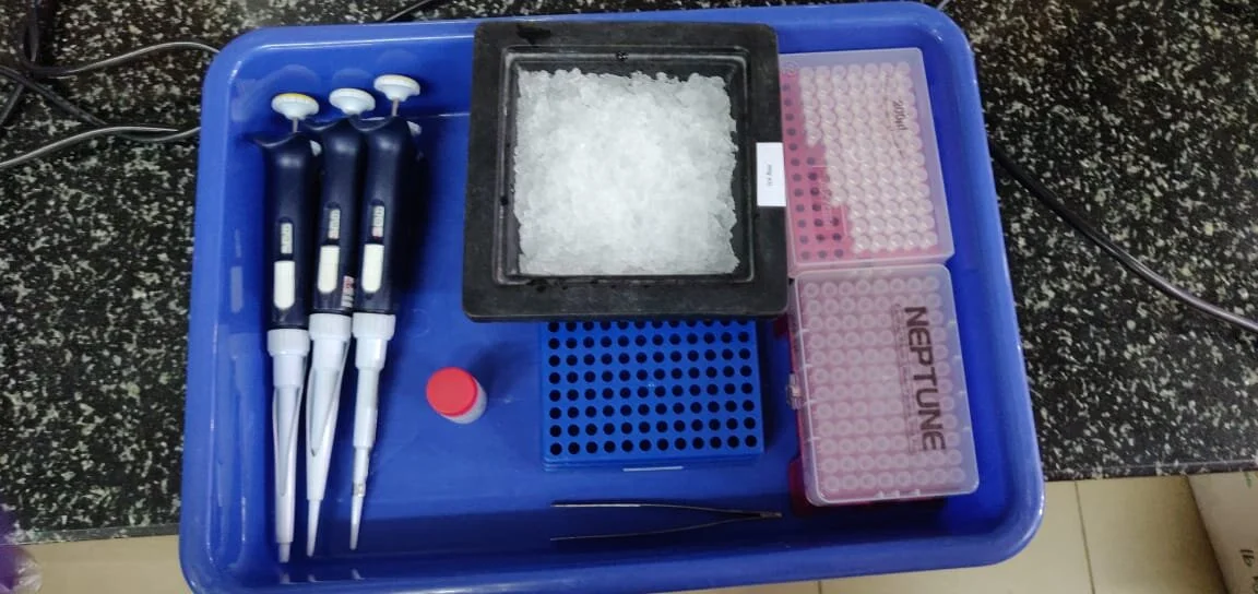 IIT Kharagpur’s‘COVIRAP’ - Novel Technology of COVID-19 Test Gets ICMR Certification