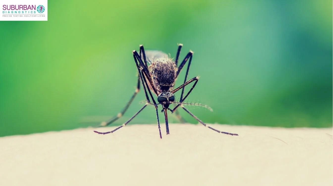 Analyzing impact of pandemic on malaria trends