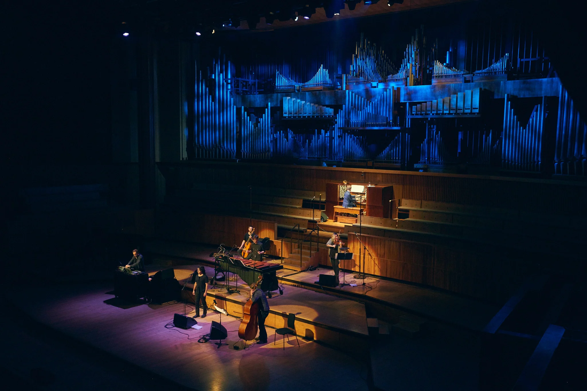 Royal Festival Hall, Sept 2015 with Bedroom Community