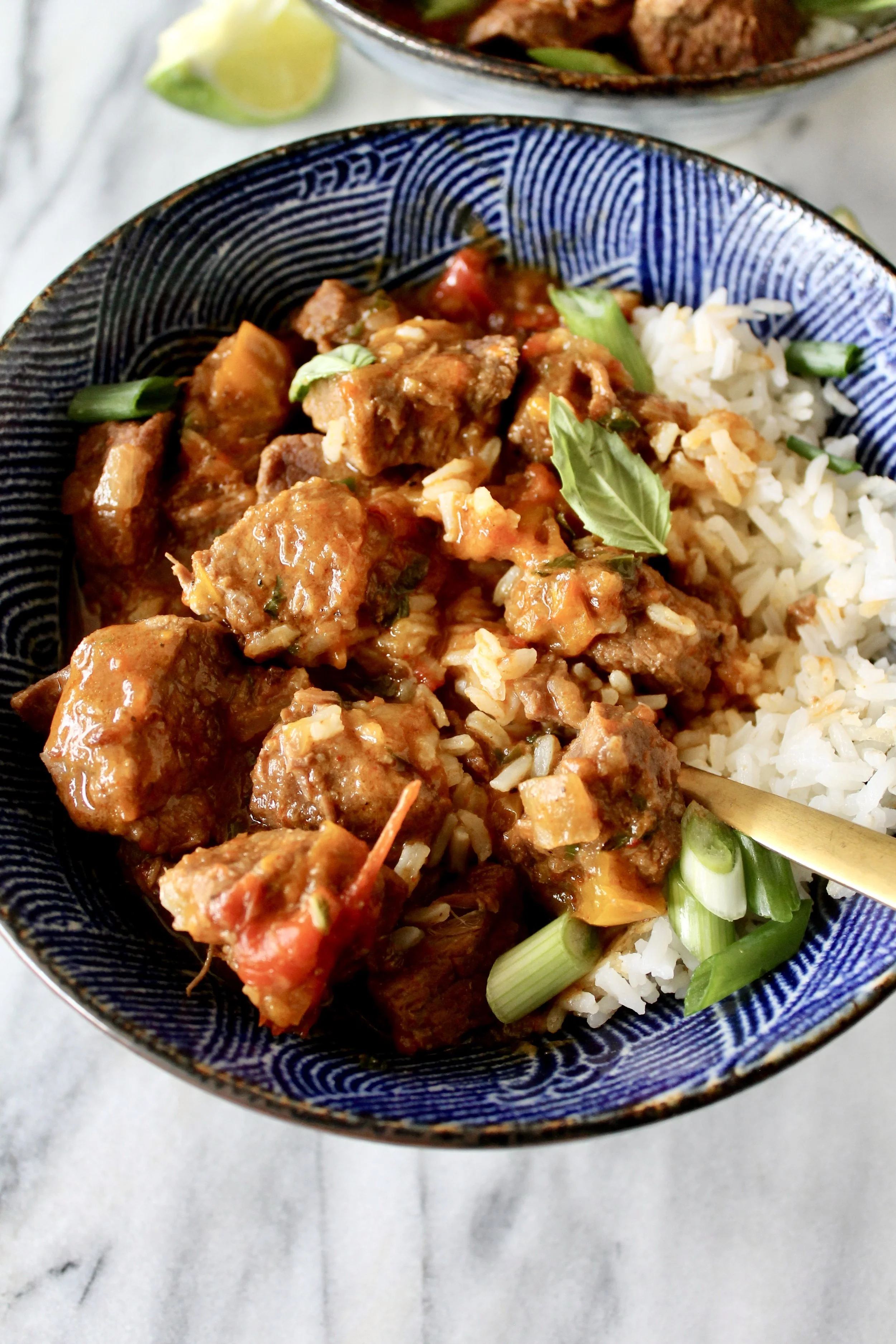 thai beef stew — Honey Street