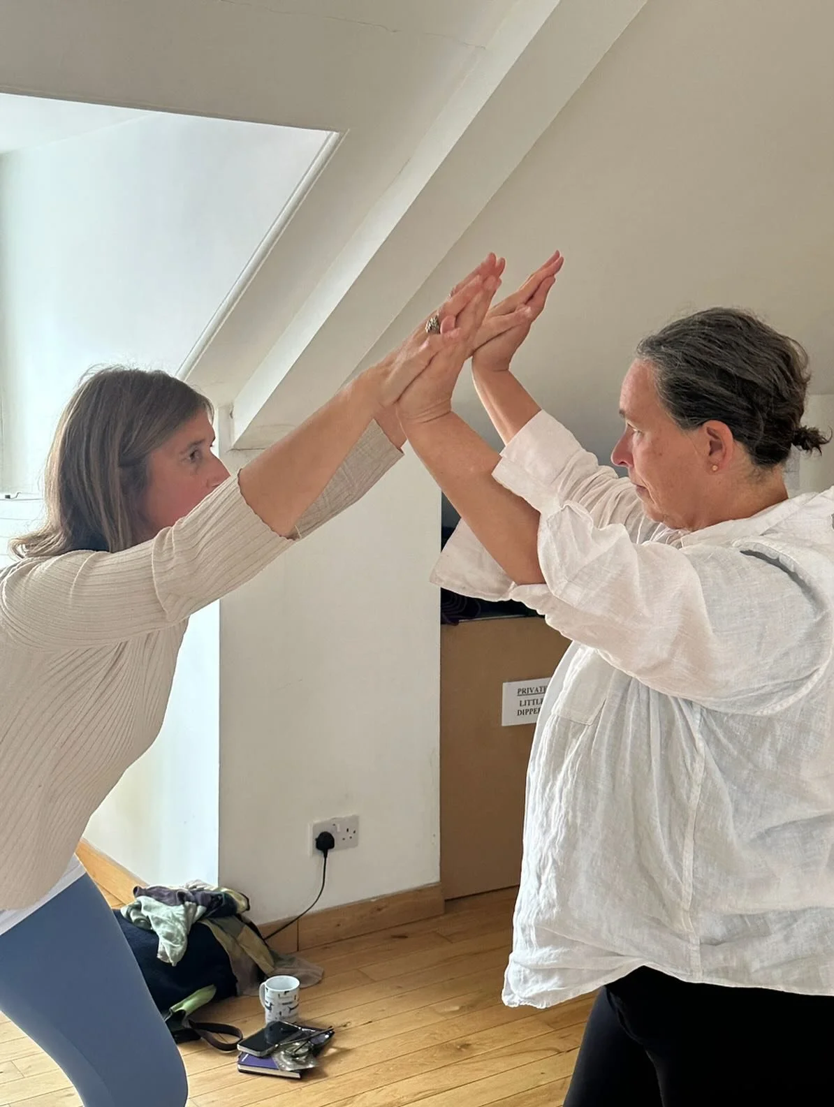 A big theme that emerged in yesterday&rsquo;s workshop was that ⚡️⚡️embodiment is relational⚡️⚡️

The two women captured here, are exploring their core-distal relationship, that is, the sense of their structure, pushing out from their spine in 360 de