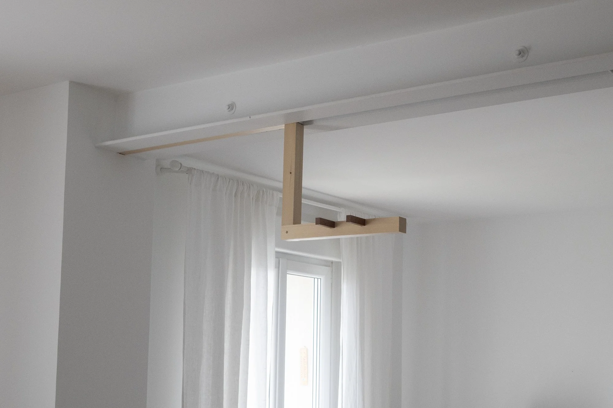 anus 01.jpg