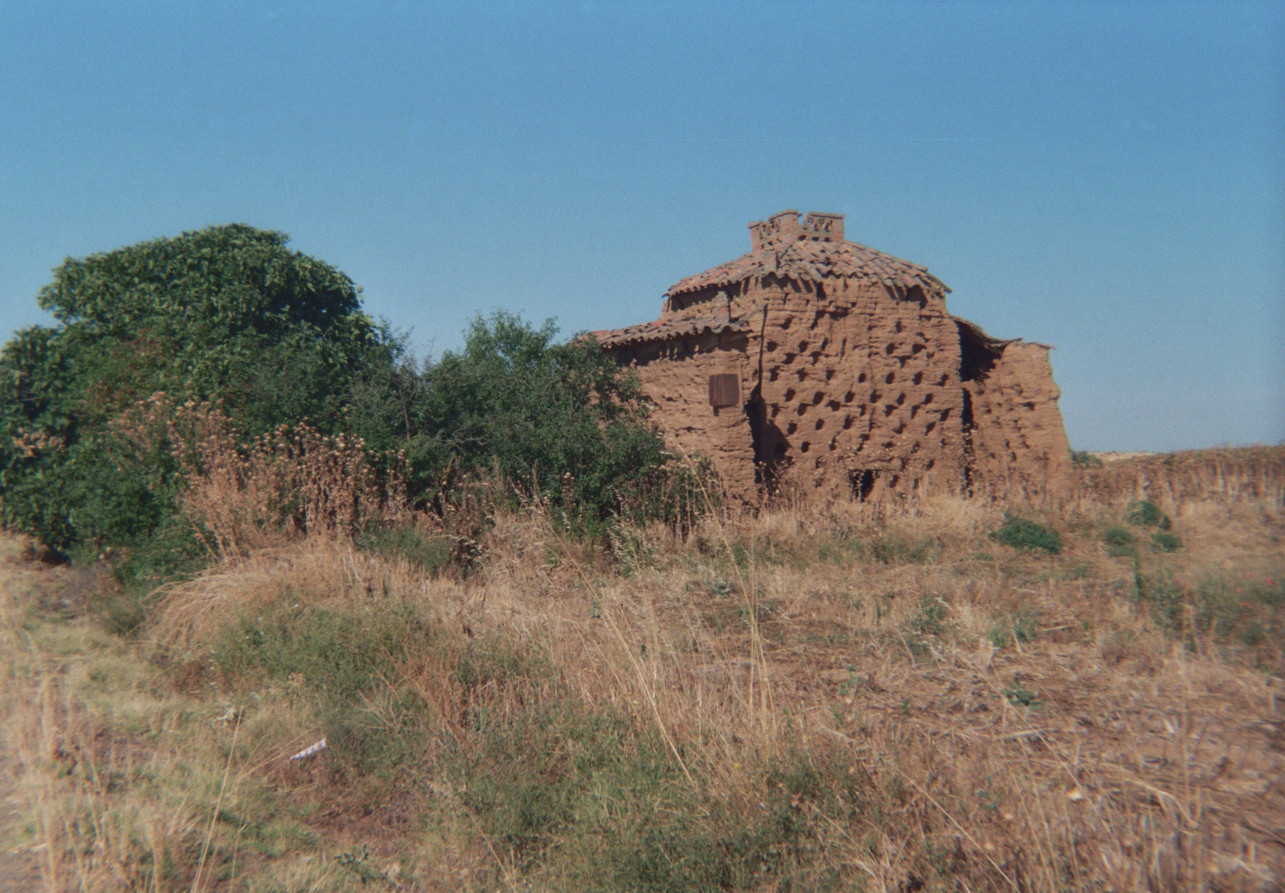 09.jpg