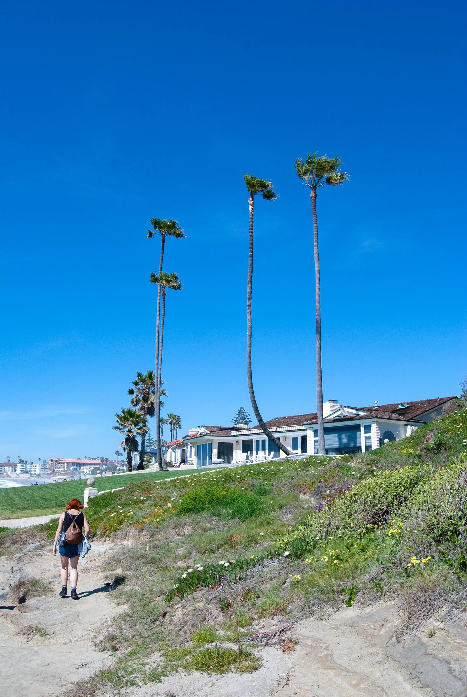 San Diego 2.jpg