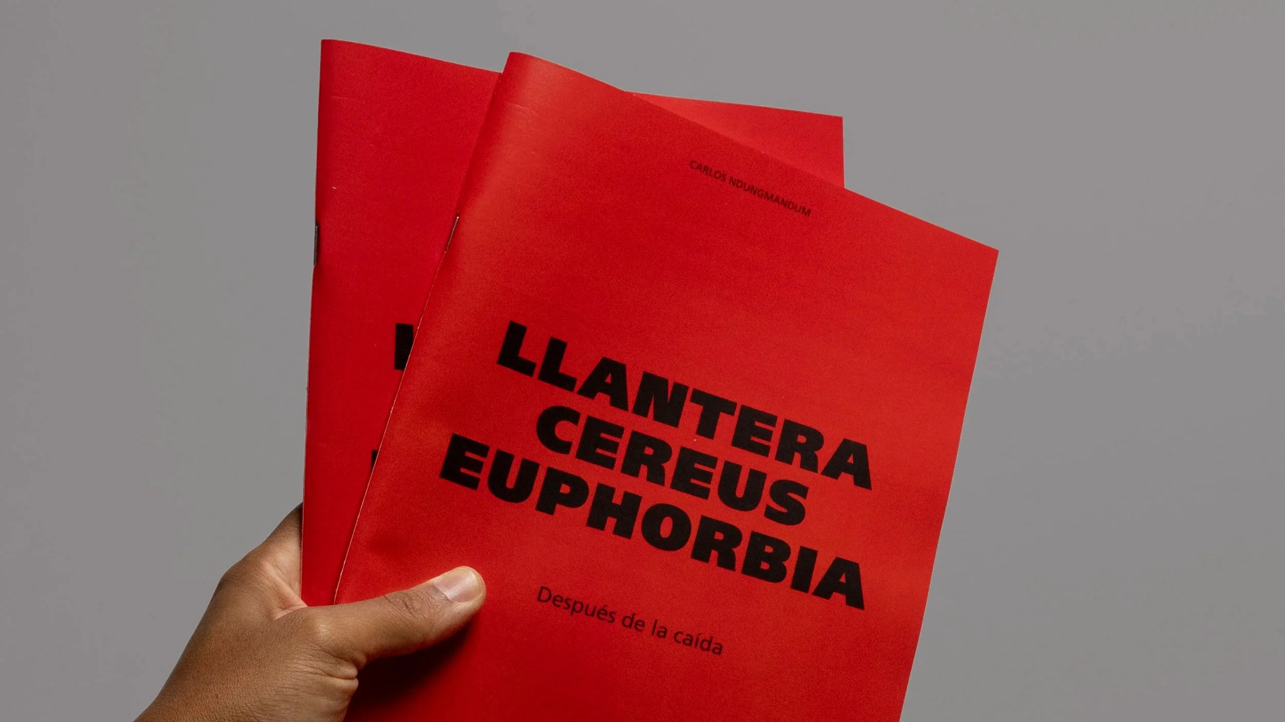 LlanteraCereusEuphorbia web.jpg