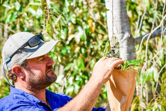 Copy of process1 copy.jpg