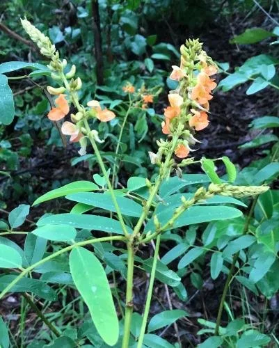 NT Government 2.jpeg