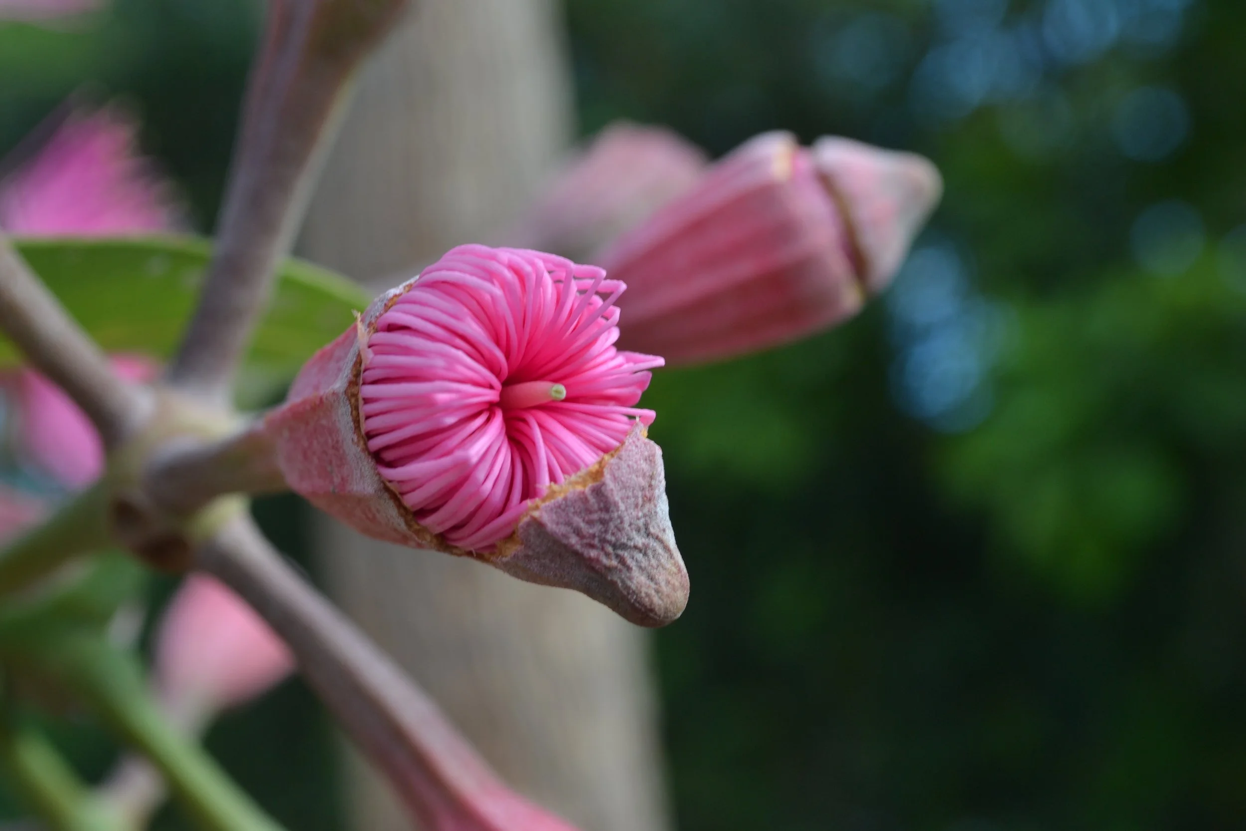 Copy of Copy of 6.JPG