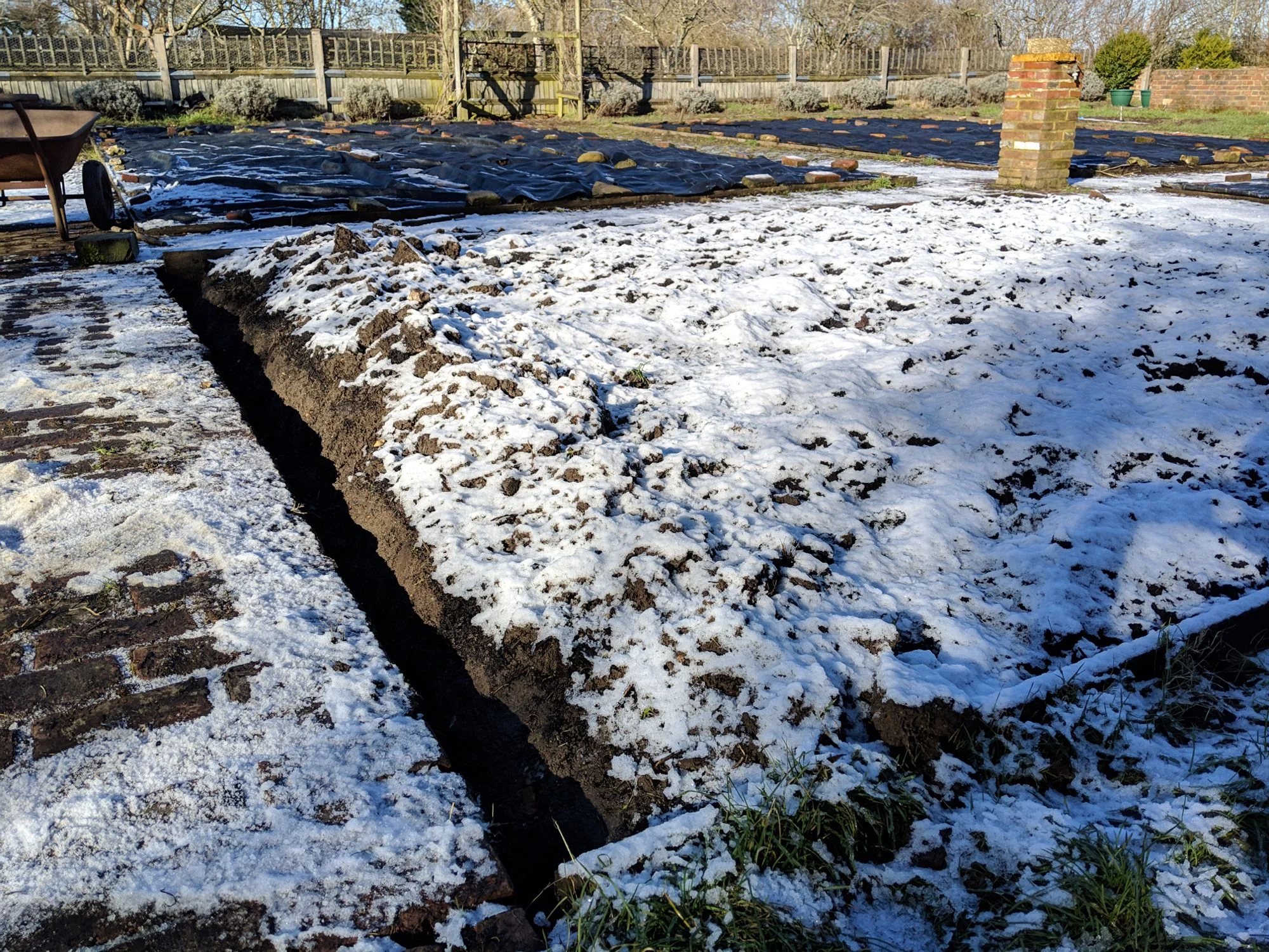 veg-bed-trench-borders.jpeg