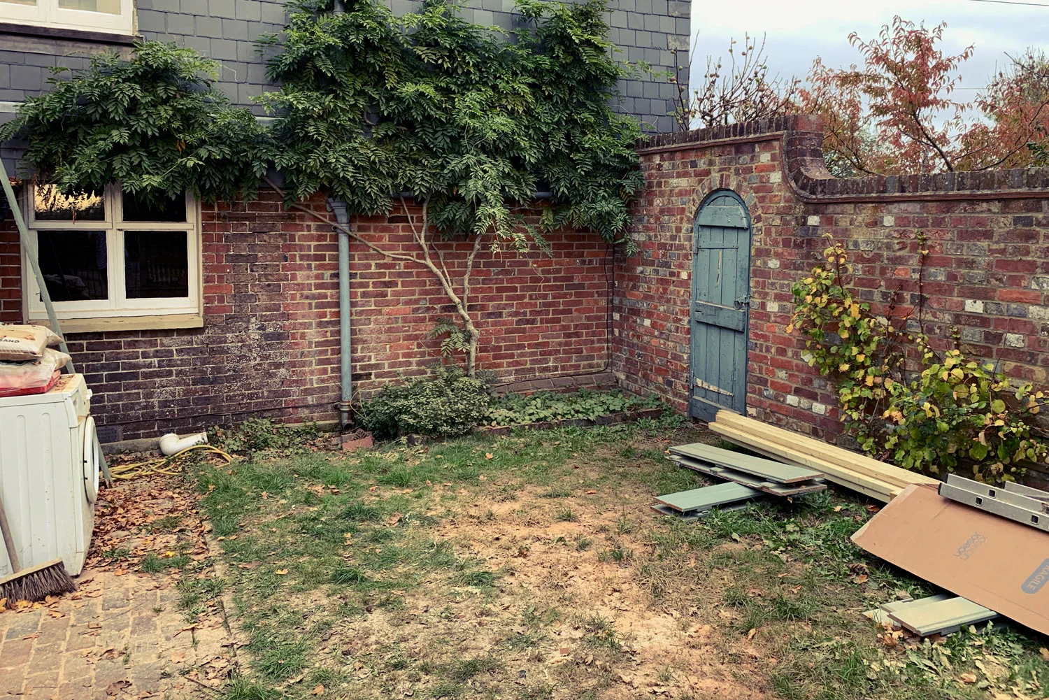 garden-needs-work.jpg