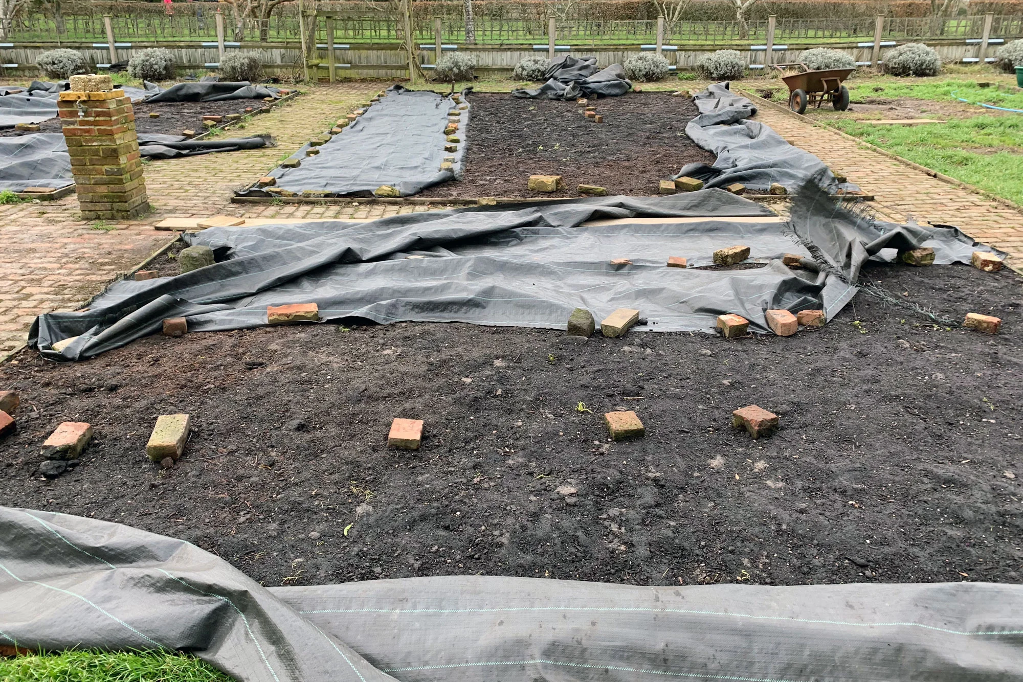 veg-patch-uncovered.jpg