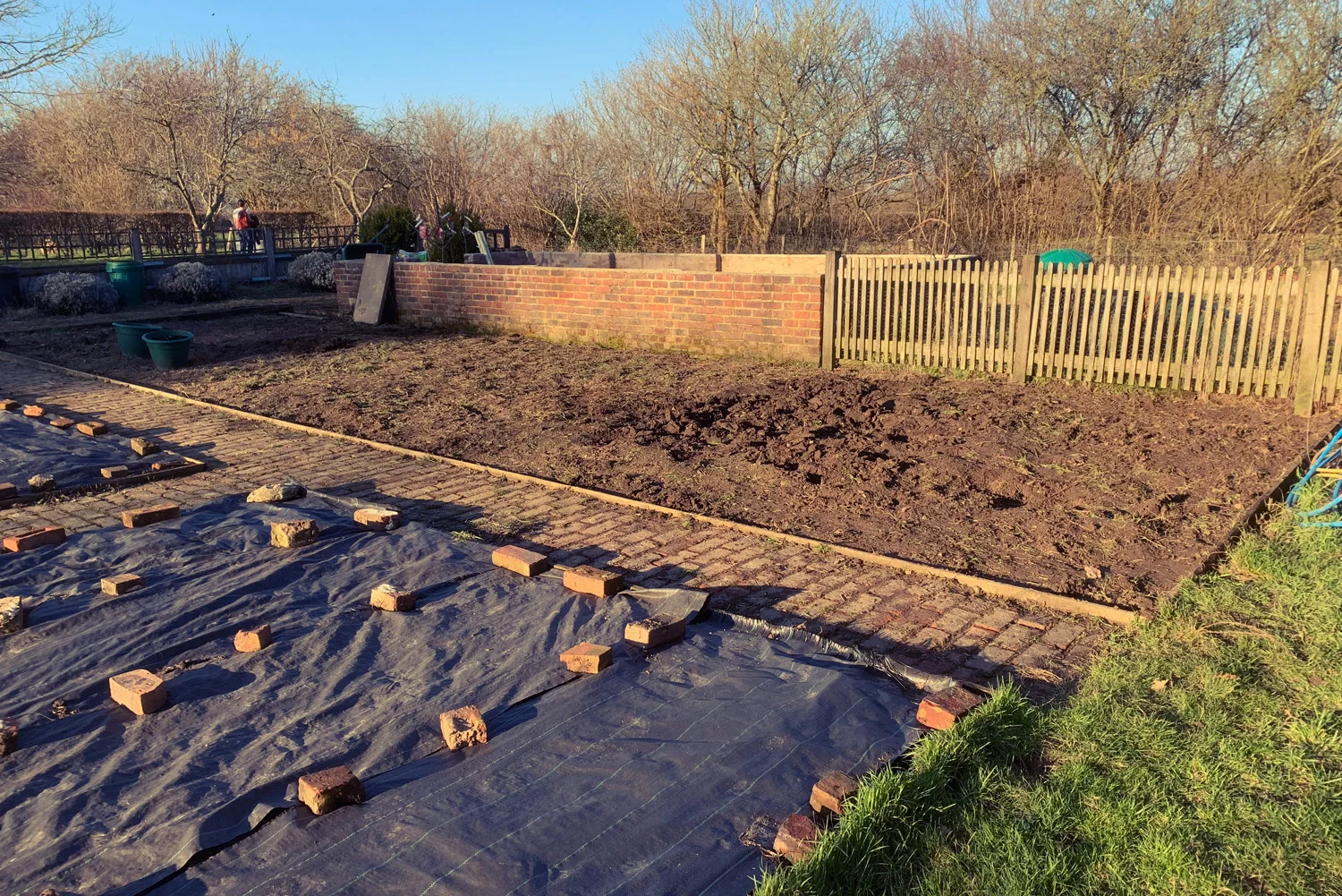last-bed-progress.jpg