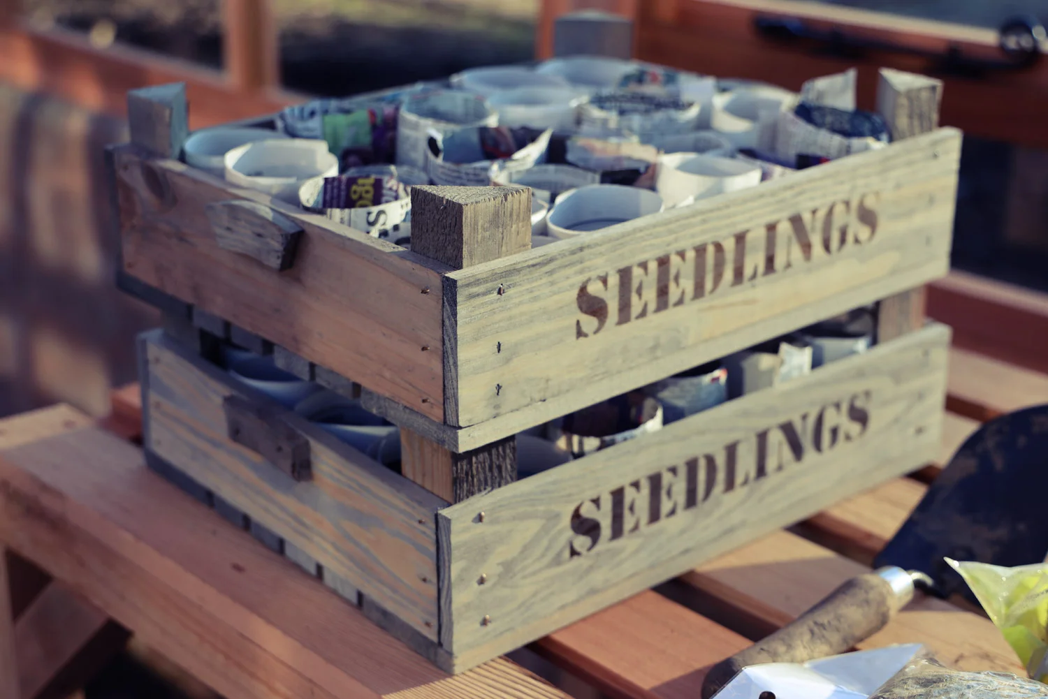 seedlings.jpg