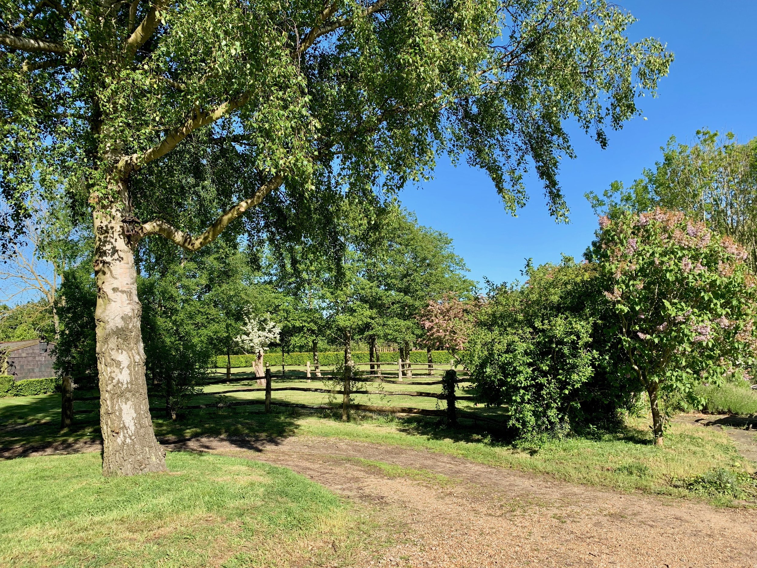 It is finally May and spring has arrived. Everything is blooming, and growing at an amazing rate. Grass needs cutting every ten days, and all the hedges need trimming again.