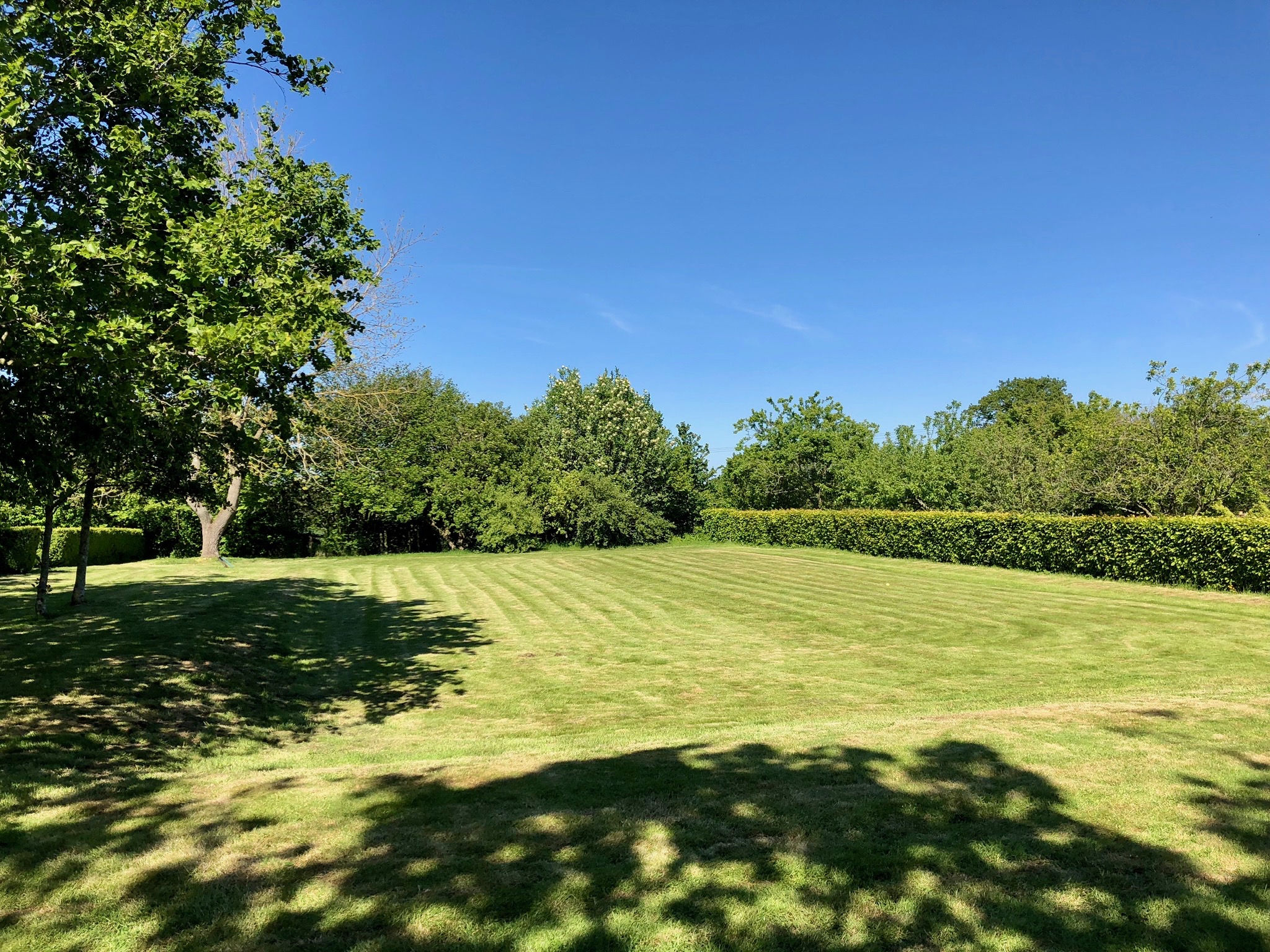 There’s something very satisfying about freshly mown grass. This shot was taken in the middle of May.