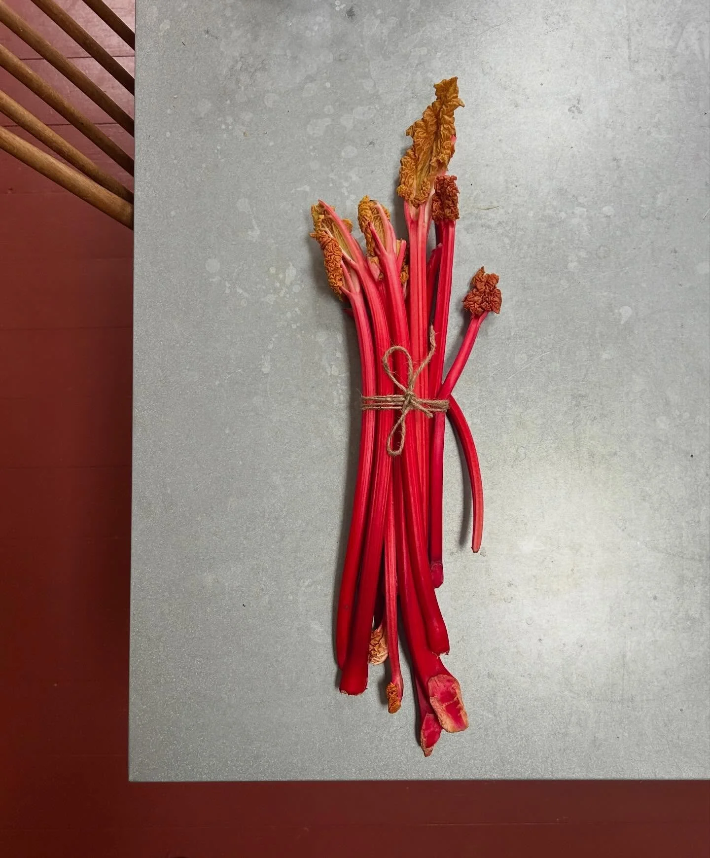 When in Yorkshire (last week)&hellip;.

Forced neon deliciousness from @farmercook_ 

TND isn&rsquo;t just about plant dyeing. 

It&rsquo;s about celebrating natural colour. 

The pure beauty of it. 

#thenaturaldyeworks #rhubarbseason