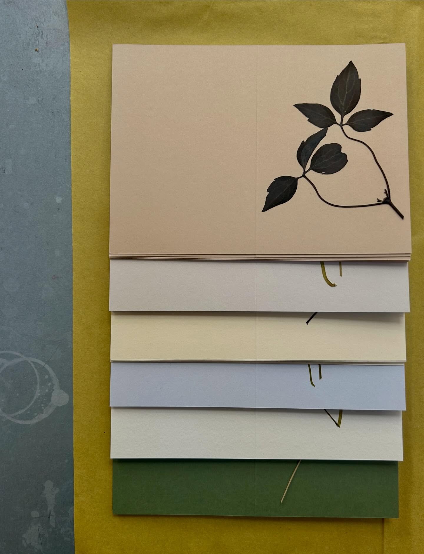 I&rsquo;ve had my head down these past weeks prepping for this weekend&rsquo;s  @water.lane Spring Fair. 

I&rsquo;ve been wanting to try some new ideas this year so I&rsquo;m excited to bring along new pressed flower cards in the most beautiful @gfs