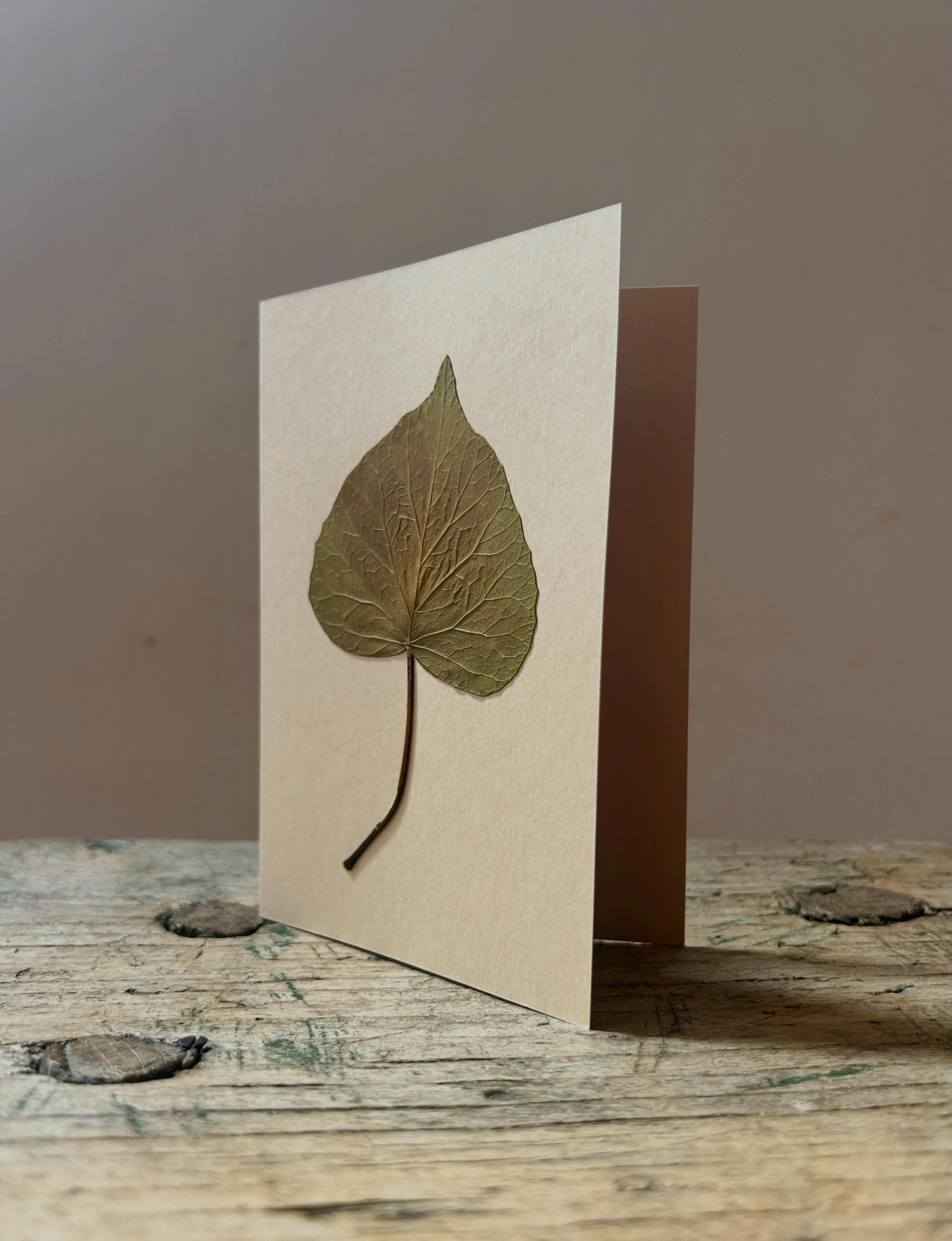 New pressed botanical cards coming to the web shop soon. 
In love with these small celebrations of nature &amp; colour. 
Makes sense really. 
Two favourite things. 

#thenaturaldyeworks #flowerpressing