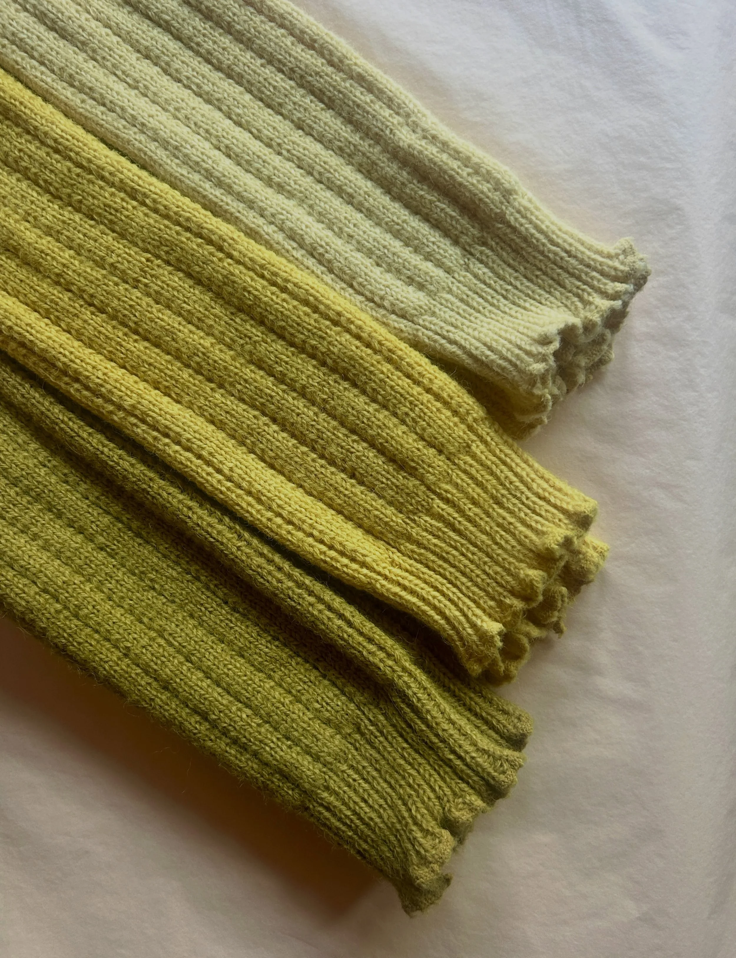 As I type in 33 degree heat, it is, quite frankly, difficult to believe it will ever be cold enough for leg warmers but here we are. 

The annual woolly dye marathon is tentatively commencing. 

#thenaturaldyeworks 
#winterprep