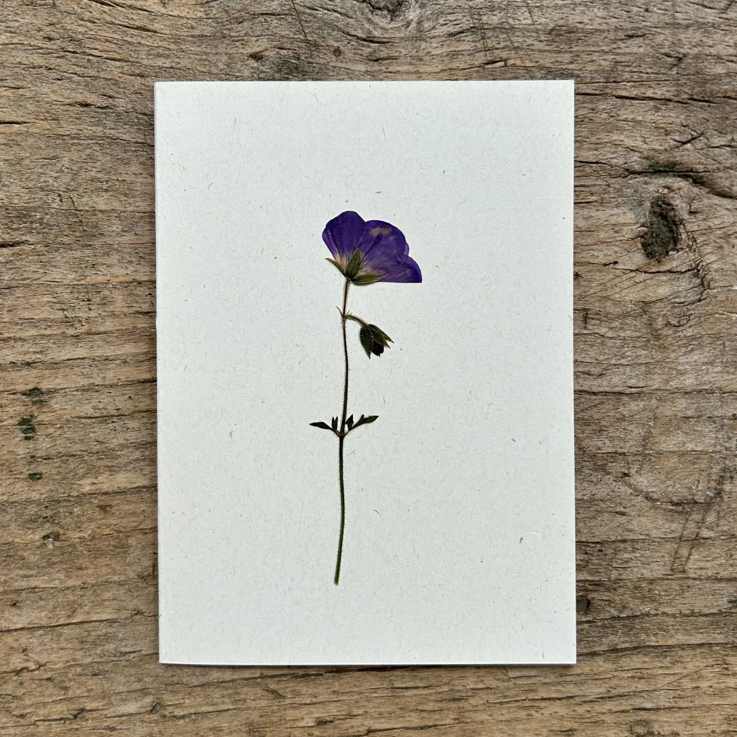 card 24.jpg