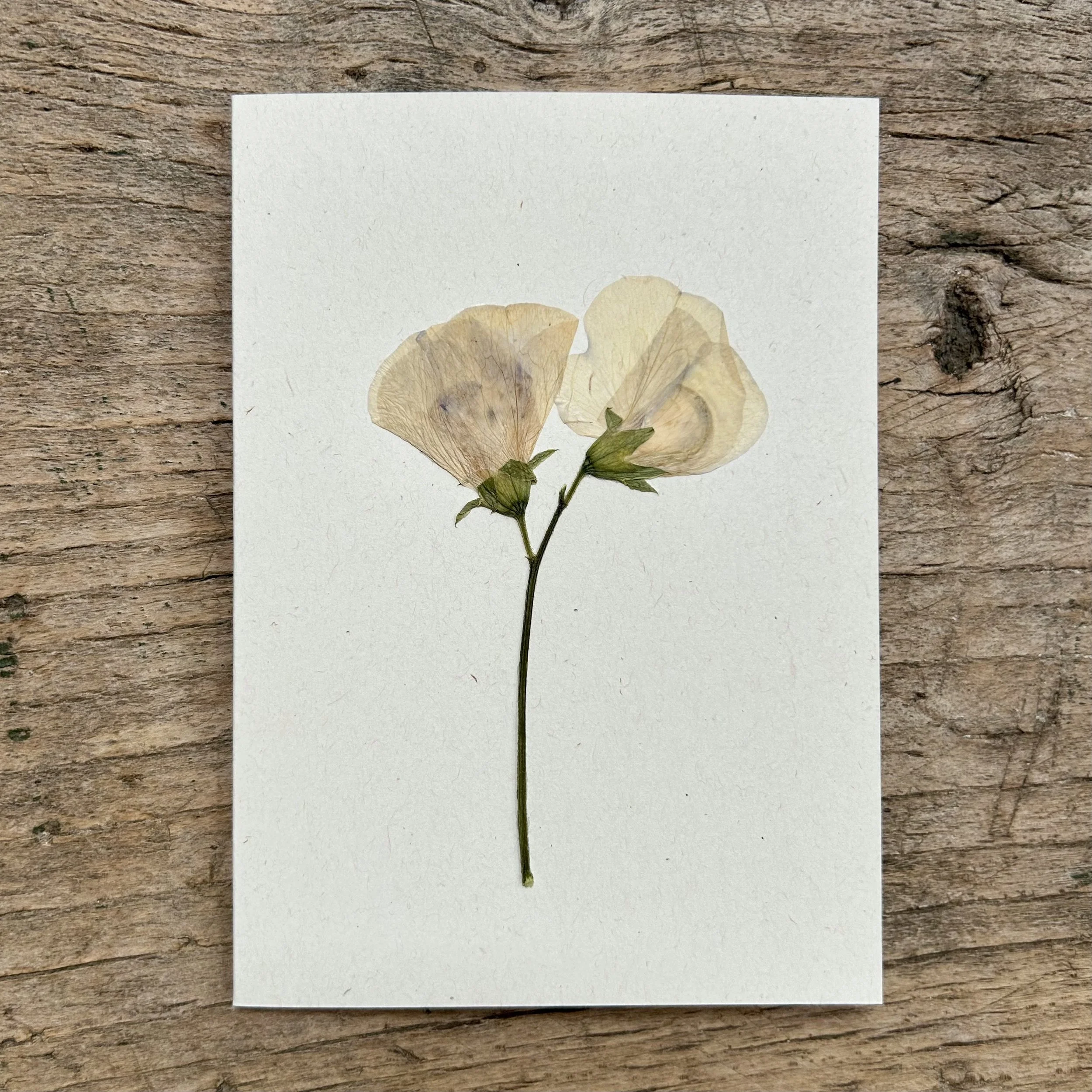 card 6.jpg