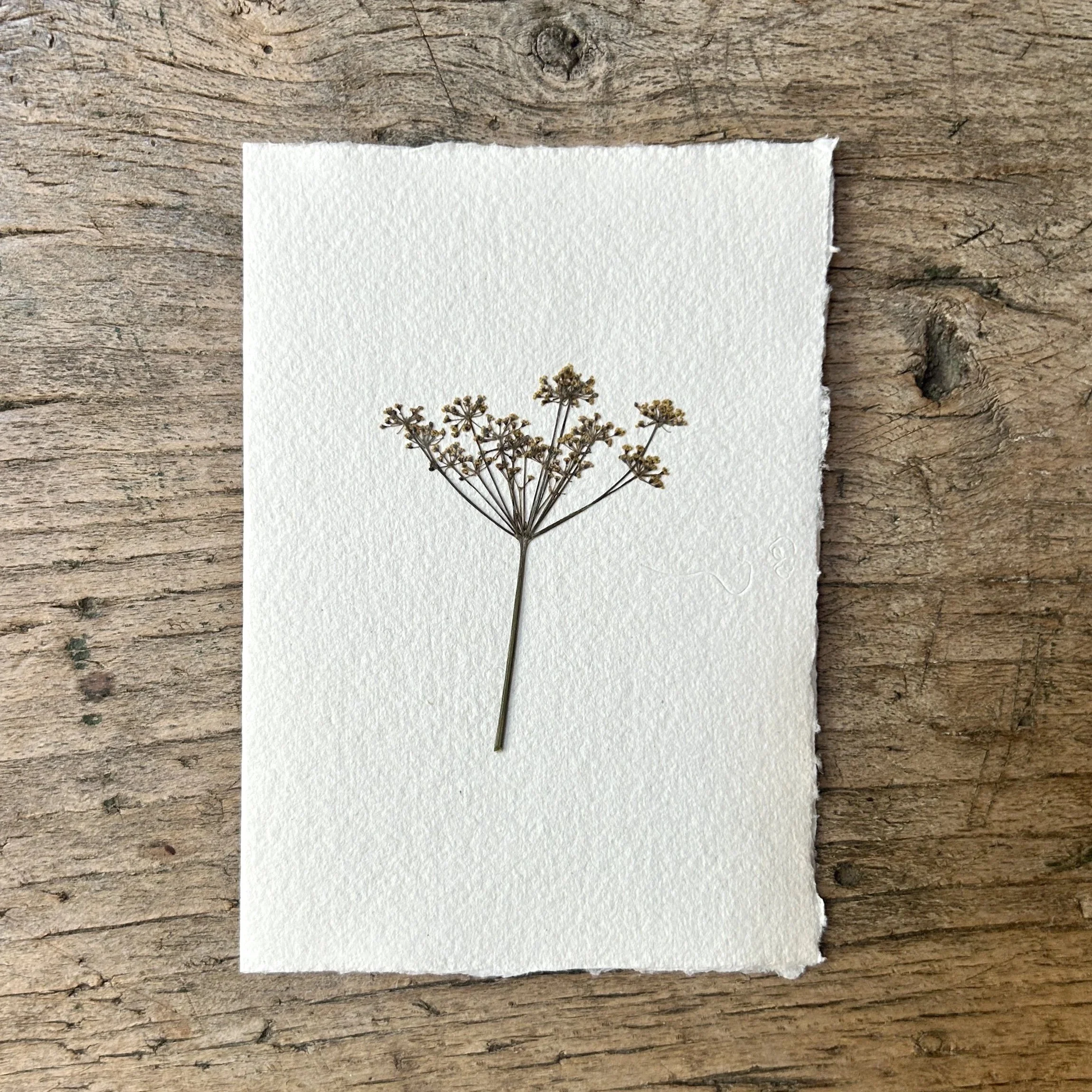 Pressed Botanical Rag Paper Card