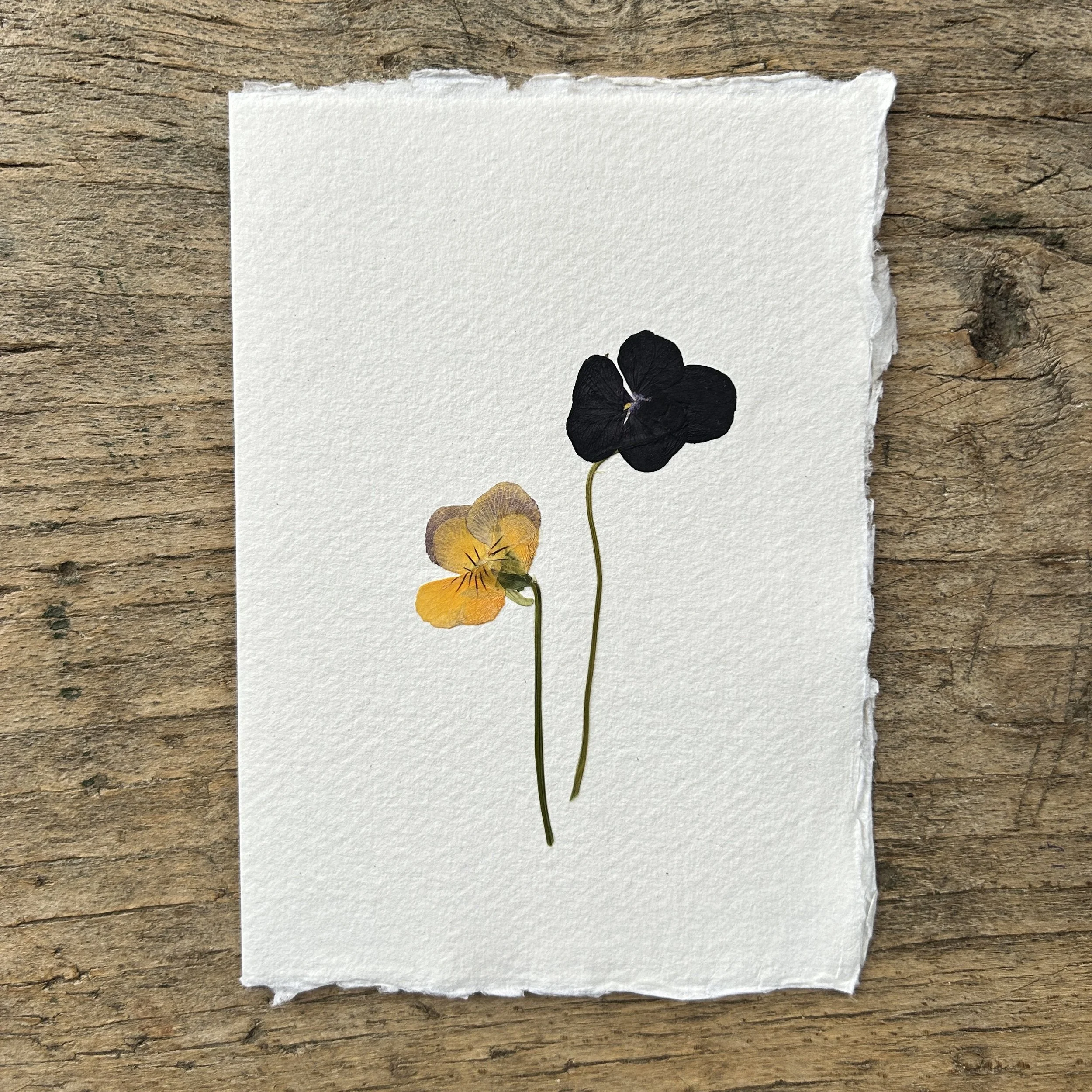 Pressed Botanical Rag Paper Card 228