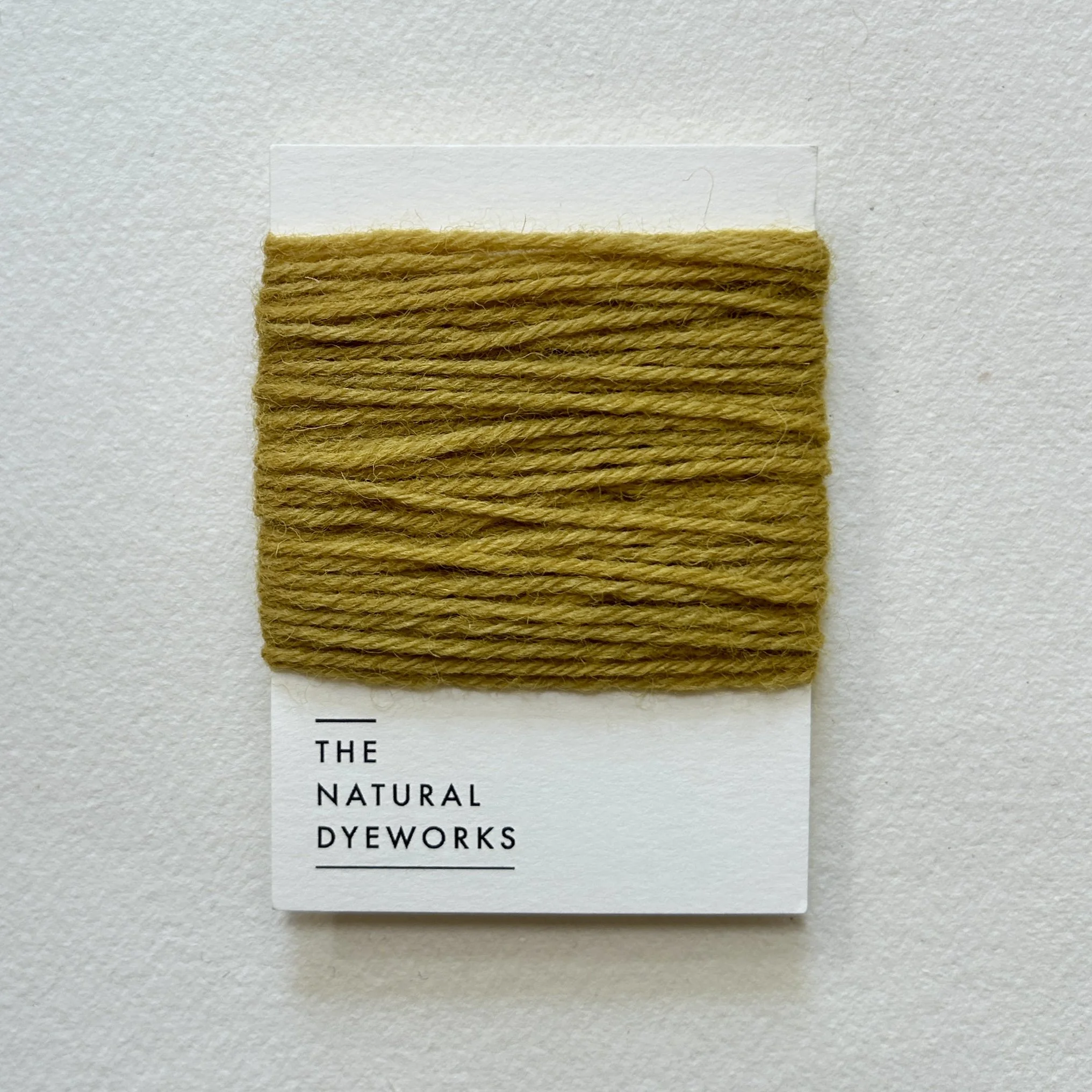 British Darning Wool Lichen