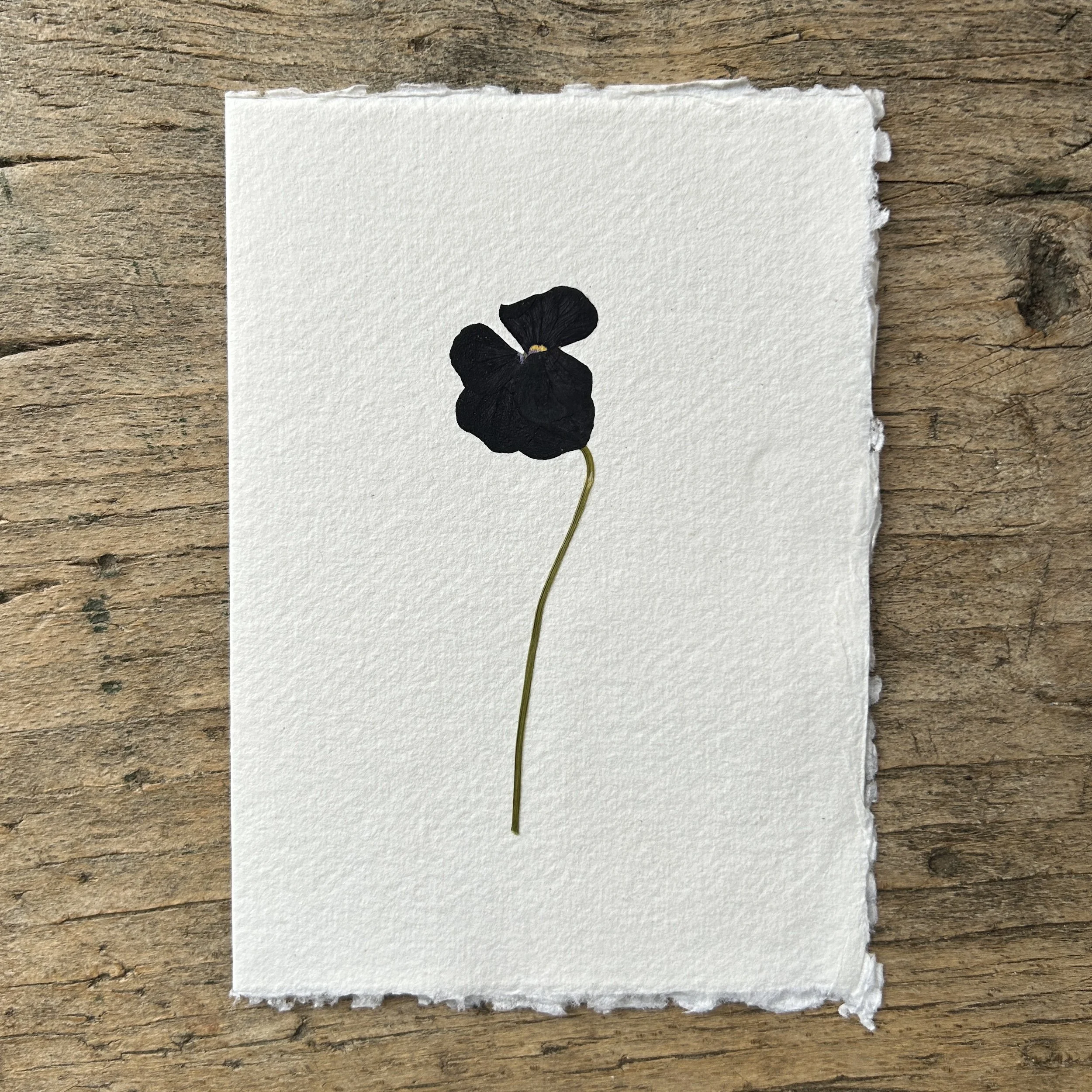 Pressed Botanical Rag Paper Card 218