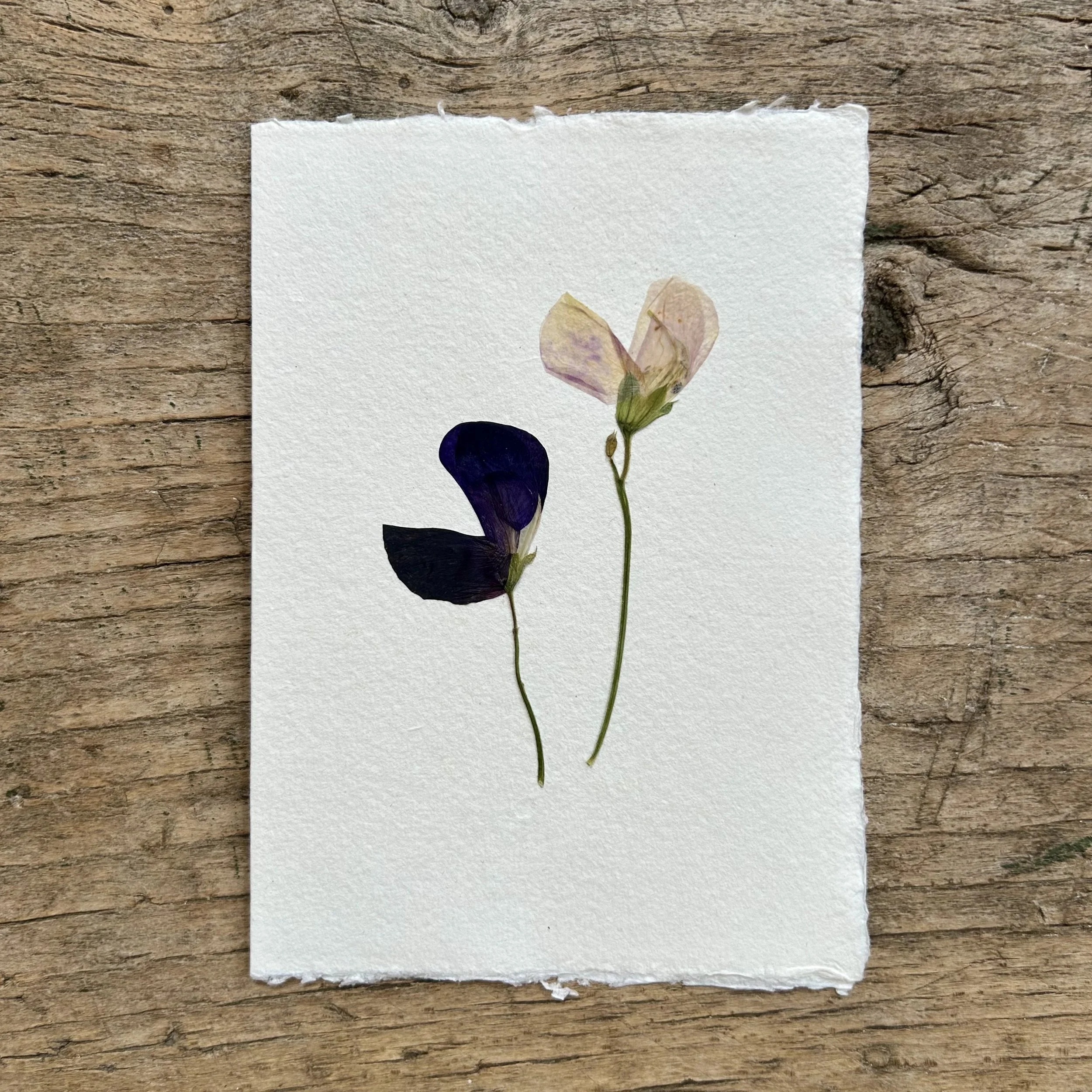 card 2.jpg